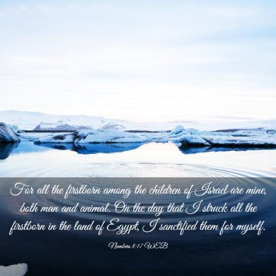 Picture 03 - Numbers 8:17 WEB - For all the firstborn among the children of - Bible Verse Picture