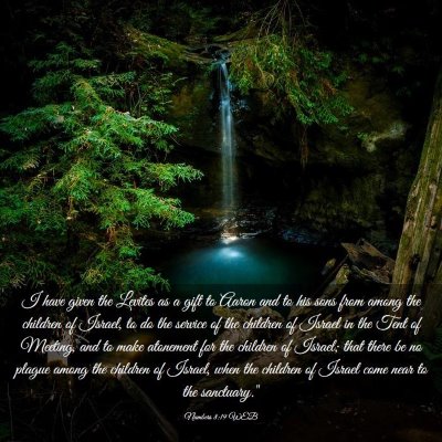 Picture 03 - Numbers 8:19 WEB - I have given the Levites as a gift to Aaron and - Bible Verse Picture