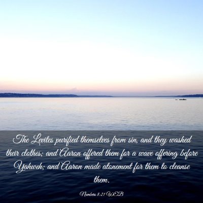 Picture 03 - Numbers 8:21 WEB - The Levites purified themselves from sin, and - Bible Verse Picture