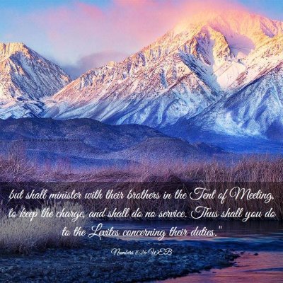 Picture 03 - Numbers 8:26 WEB - but shall minister with their brothers in the - Bible Verse Picture