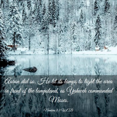 Picture 03 - Numbers 8:3 WEB - Aaron did so. He lit its lamps to light the area - Bible Verse Picture