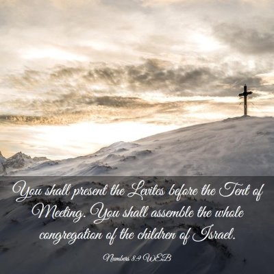 Picture 03 - Numbers 8:9 WEB - You shall present the Levites before the Tent of - Bible Verse Picture