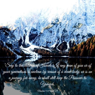 Picture 03 - Numbers 9:10 WEB - 