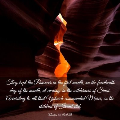Picture 03 - Numbers 9:5 WEB - They kept the Passover in the first month, on the - Bible Verse Picture