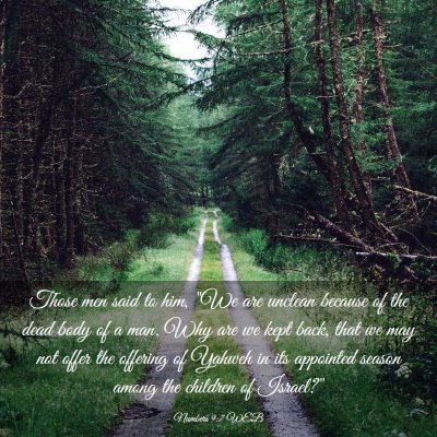Picture 03 - Numbers 9:7 WEB - Those men said to him, 
