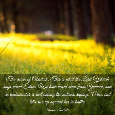 Picture 03 - Obadiah 1:1 WEB - The vision of Obadiah. This is what the Lord - Bible Verse Picture