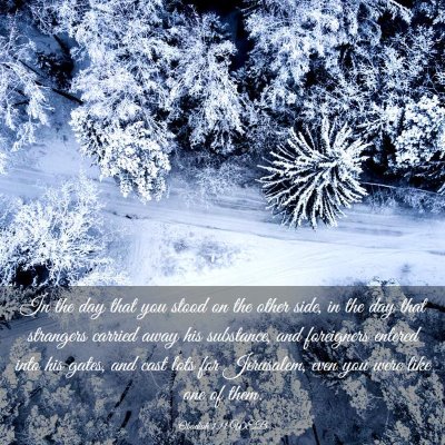 Picture 03 - Obadiah 1:11 WEB - In the day that you stood on the other side, in - Bible Verse Picture
