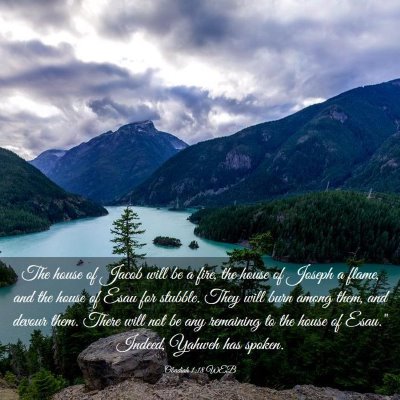 Picture 03 - Obadiah 1:18 WEB - The house of Jacob will be a fire, the house of - Bible Verse Picture