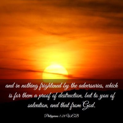 Picture 03 - Philippians 1:28 WEB - and in nothing frightened by the adversaries, - Bible Verse Picture