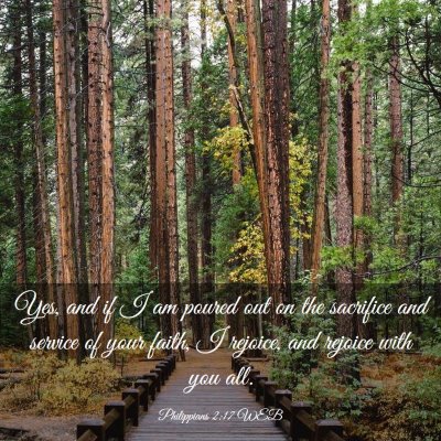 Picture 03 - Philippians 2:17 WEB - Yes, and if I am poured out on the sacrifice and - Bible Verse Picture