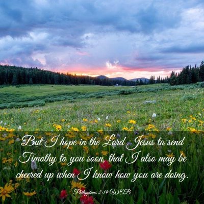 Picture 03 - Philippians 2:19 WEB - But I hope in the Lord Jesus to send Timothy to - Bible Verse Picture