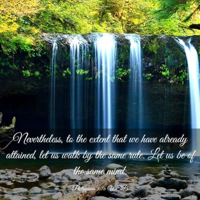 Picture 03 - Philippians 3:16 WEB - Nevertheless, to the extent that we have already - Bible Verse Picture