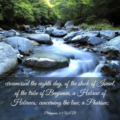 Picture 03 - Philippians 3:5 WEB - circumcised the eighth day, of the stock of - Bible Verse Picture