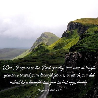 Picture 03 - Philippians 4:10 WEB - But I rejoice in the Lord greatly, that now at - Bible Verse Picture