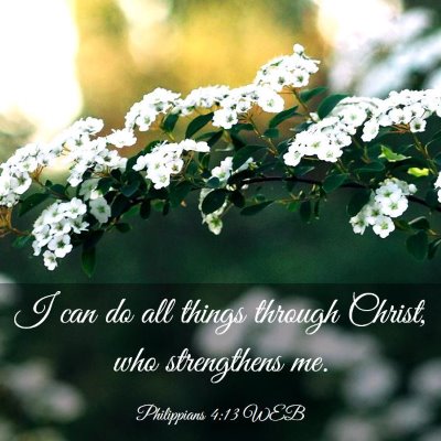 Picture 03 - Philippians 4:13 WEB - I can do all things through Christ, who - Bible Verse Picture