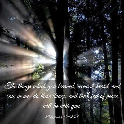 Picture 03 - Philippians 4:9 WEB - The things which you learned, received, heard, - Bible Verse Picture