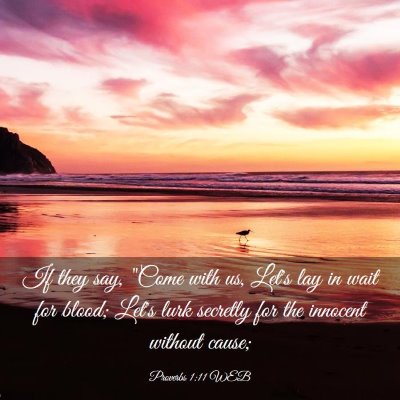Picture 03 - Proverbs 1:11 WEB - If they say, 