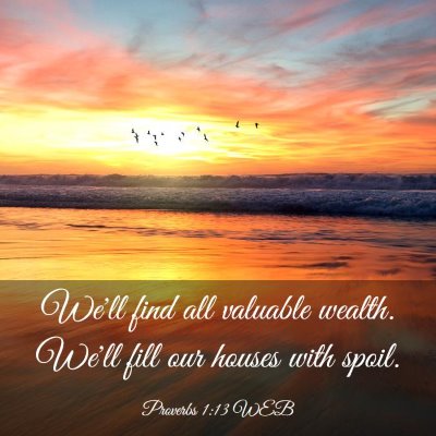 Picture 03 - Proverbs 1:13 WEB - We'll find all valuable wealth. We'll fill our - Bible Verse Picture