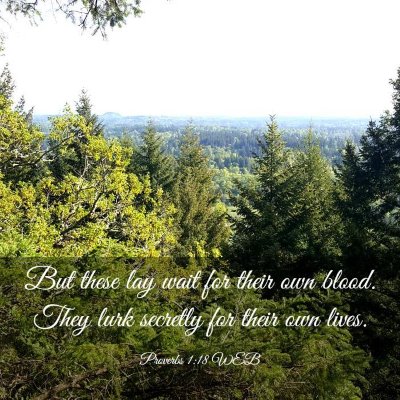 Picture 03 - Proverbs 1:18 WEB - But these lay wait for their own blood. They lurk - Bible Verse Picture