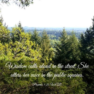 Picture 03 - Proverbs 1:20 WEB - Wisdom calls aloud in the street. She utters her - Bible Verse Picture