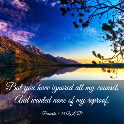 Picture 03 - Proverbs 1:25 WEB - But you have ignored all my counsel, And wanted - Bible Verse Picture