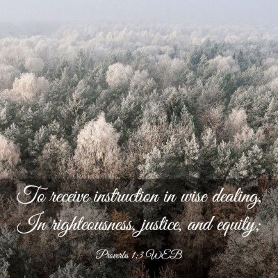 Picture 03 - Proverbs 1:3 WEB - To receive instruction in wise dealing, In - Bible Verse Picture
