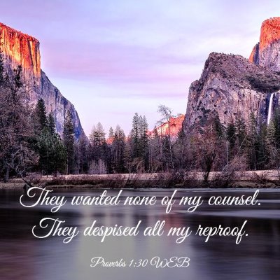 Picture 03 - Proverbs 1:30 WEB - They wanted none of my counsel. They despised all - Bible Verse Picture