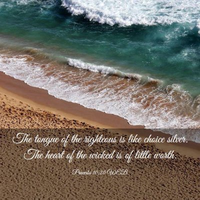 Picture 03 - Proverbs 10:20 WEB - The tongue of the righteous is like choice - Bible Verse Picture