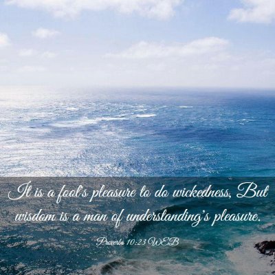 Picture 03 - Proverbs 10:23 WEB - It is a fool's pleasure to do wickedness, But - Bible Verse Picture