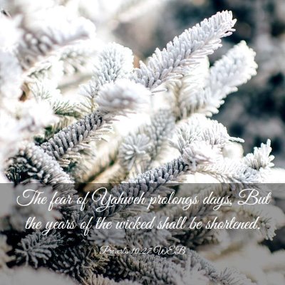 Picture 03 - Proverbs 10:27 WEB - The fear of Yahweh prolongs days, But the years - Bible Verse Picture
