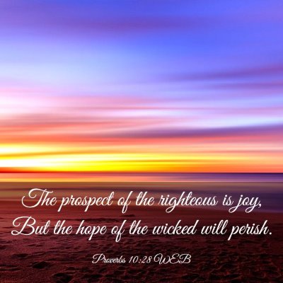 Picture 03 - Proverbs 10:28 WEB - The prospect of the righteous is joy, But the - Bible Verse Picture