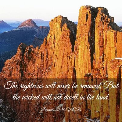 Picture 03 - Proverbs 10:30 WEB - The righteous will never be removed, But the - Bible Verse Picture
