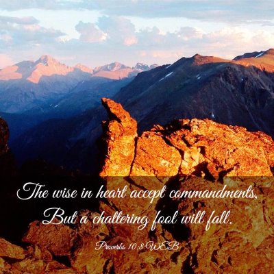 Picture 03 - Proverbs 10:8 WEB - The wise in heart accept commandments, But a - Bible Verse Picture
