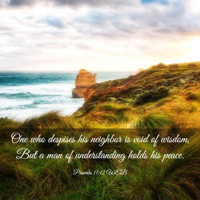 Picture 03 - Proverbs 11:12 WEB - One who despises his neighbor is void of wisdom, - Bible Verse Picture