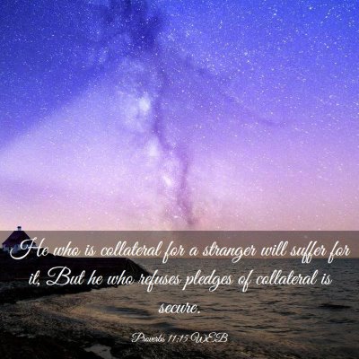 Picture 03 - Proverbs 11:15 WEB - He who is collateral for a stranger will suffer - Bible Verse Picture