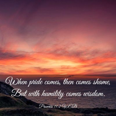 Picture 03 - Proverbs 11:2 WEB - When pride comes, then comes shame, But with - Bible Verse Picture