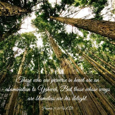 Picture 03 - Proverbs 11:20 WEB - Those who are perverse in heart are an - Bible Verse Picture