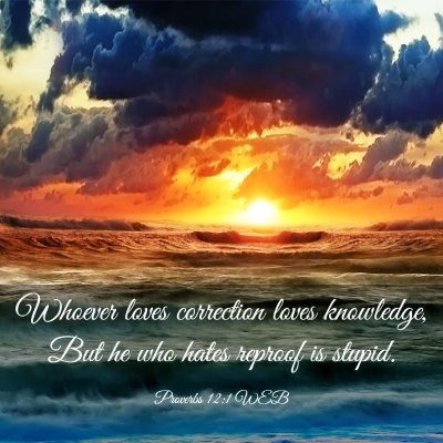 Picture 03 - Proverbs 12:1 WEB - Whoever loves correction loves knowledge, But he - Bible Verse Picture