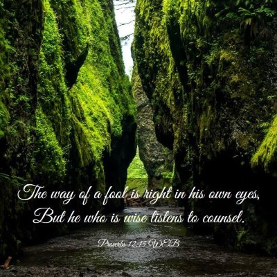 Picture 03 - Proverbs 12:15 WEB - The way of a fool is right in his own eyes, But - Bible Verse Picture