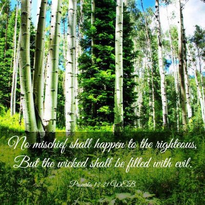 Picture 03 - Proverbs 12:21 WEB - No mischief shall happen to the righteous, But - Bible Verse Picture
