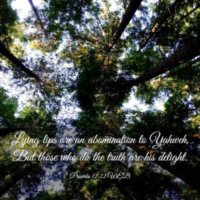 Picture 03 - Proverbs 12:22 WEB - Lying lips are an abomination to Yahweh, But - Bible Verse Picture