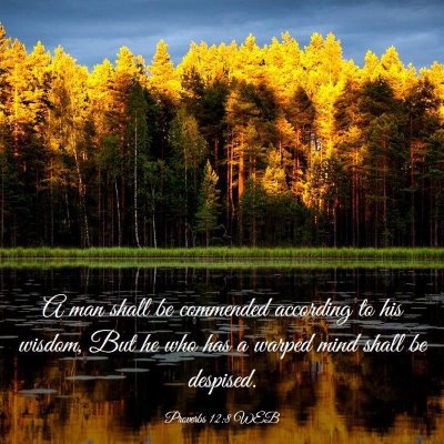 Picture 03 - Proverbs 12:8 WEB - A man shall be commended according to his wisdom, - Bible Verse Picture
