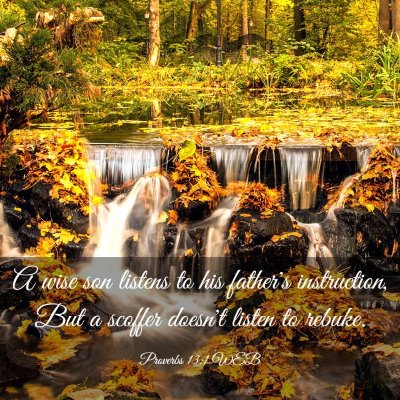 Picture 03 - Proverbs 13:1 WEB - A wise son listens to his father's instruction, - Bible Verse Picture