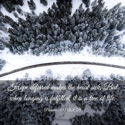Picture 03 - Proverbs 13:12 WEB - Hope deferred makes the heart sick, But when - Bible Verse Picture