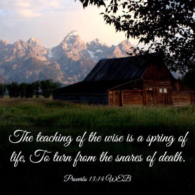 Picture 03 - Proverbs 13:14 WEB - The teaching of the wise is a spring of life, To - Bible Verse Picture