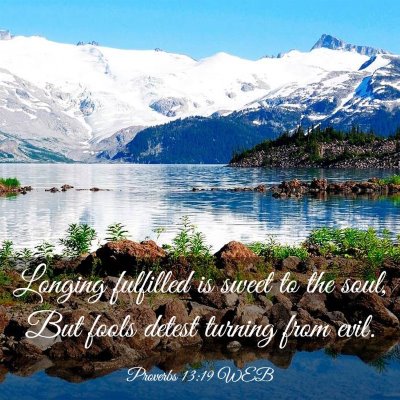 Picture 03 - Proverbs 13:19 WEB - Longing fulfilled is sweet to the soul, But fools - Bible Verse Picture