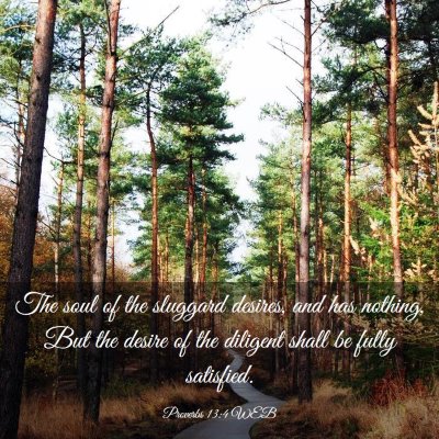 Picture 03 - Proverbs 13:4 WEB - The soul of the sluggard desires, and has - Bible Verse Picture
