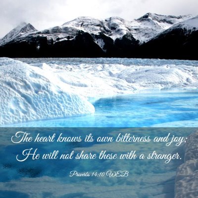 Picture 03 - Proverbs 14:10 WEB - The heart knows its own bitterness and joy; He - Bible Verse Picture