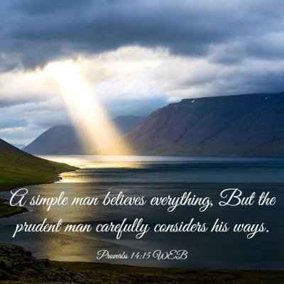 Picture 03 - Proverbs 14:15 WEB - A simple man believes everything, But the prudent - Bible Verse Picture