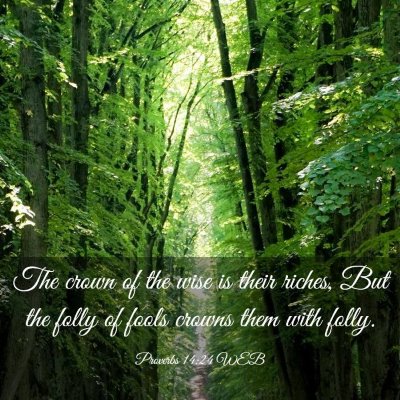 Picture 03 - Proverbs 14:24 WEB - The crown of the wise is their riches, But the - Bible Verse Picture